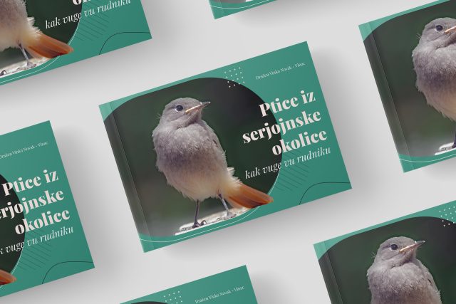ptice-knjiga-0