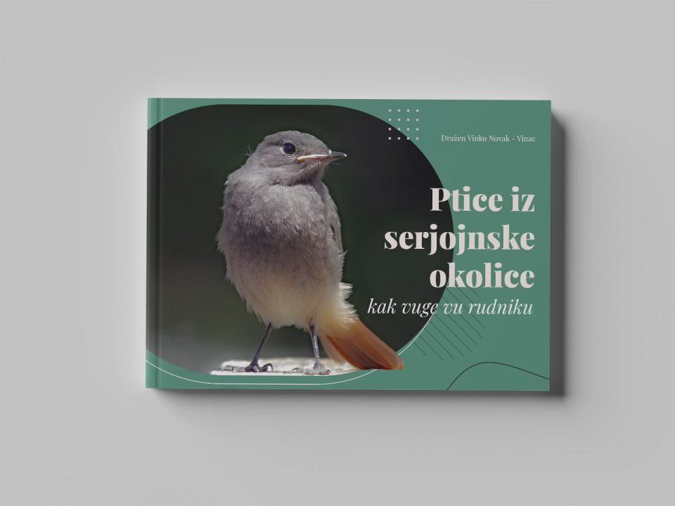 ptice-knjiga-1