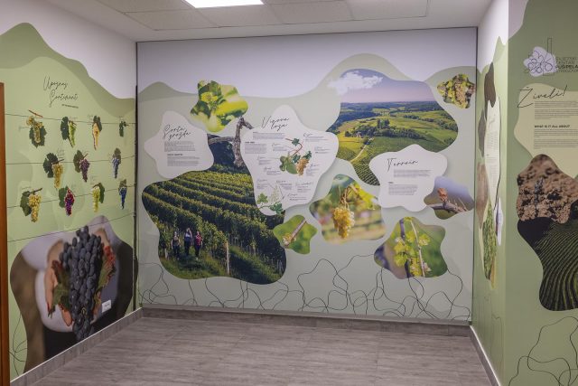 svjetskicentarpusipela-17