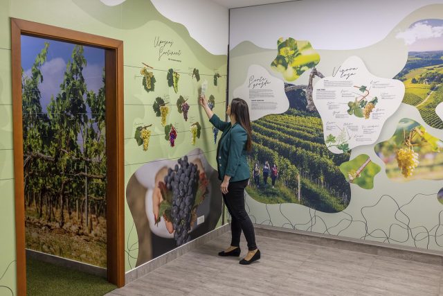 svjetskicentarpusipela-19