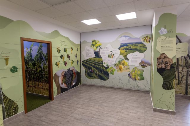 svjetskicentarpusipela-21