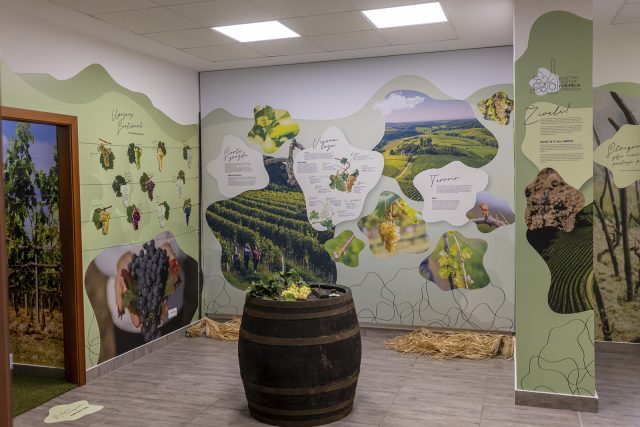 svjetskicentarpusipela-25