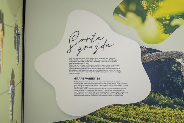 svjetskicentarpusipela-28