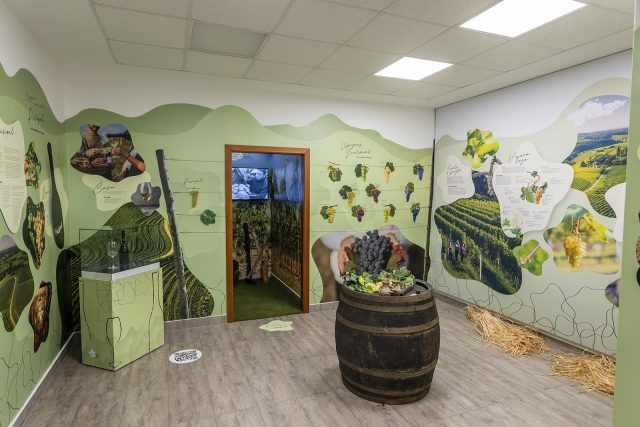 svjetskicentarpusipela-31